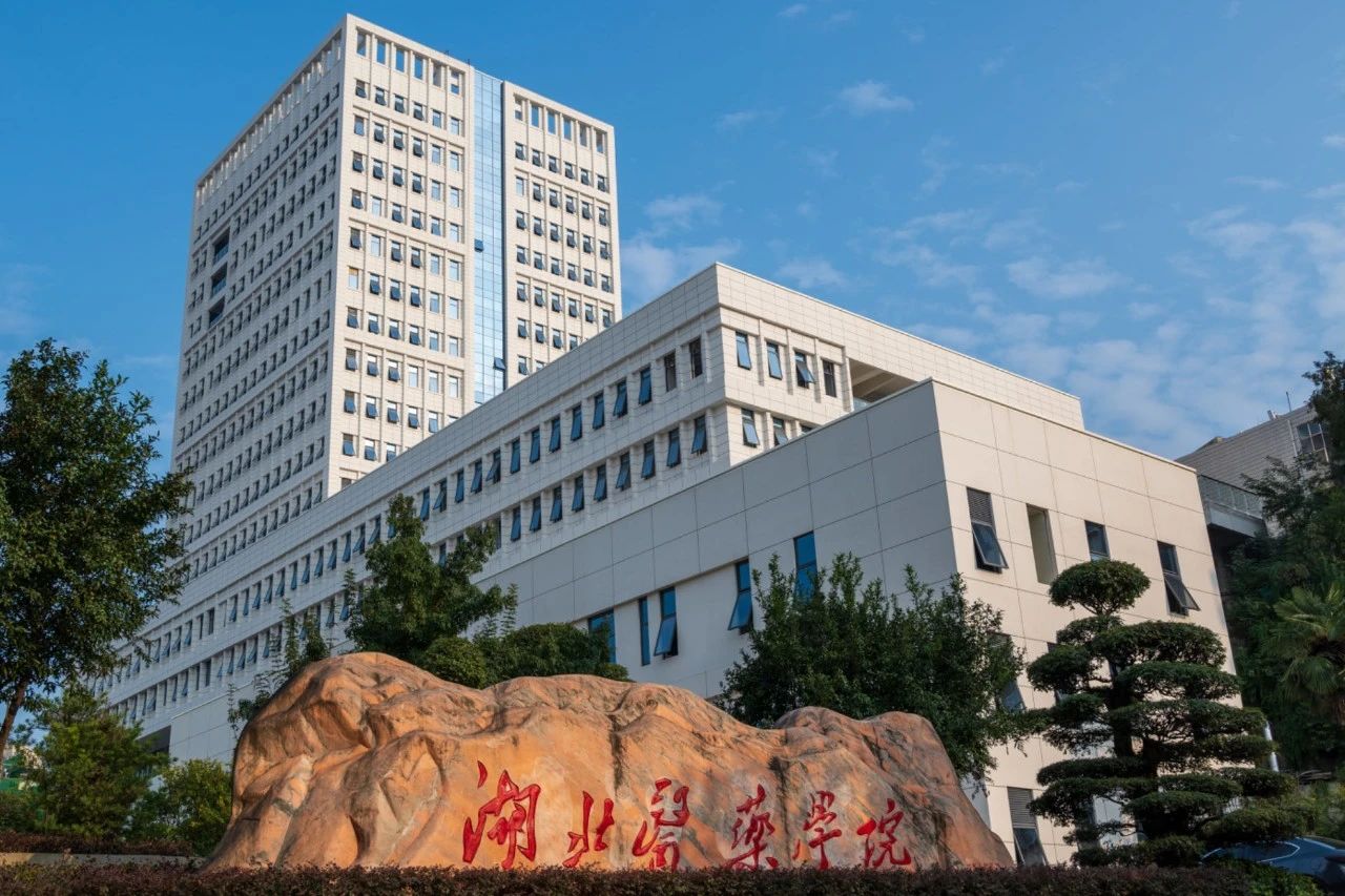 中标喜讯！湖北产教融合教育研究院携手湖北医药学院，共筑同等学力申硕新篇章