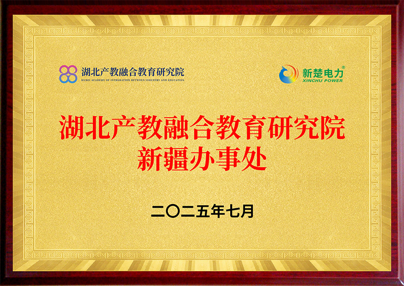 武汉新楚电力集团